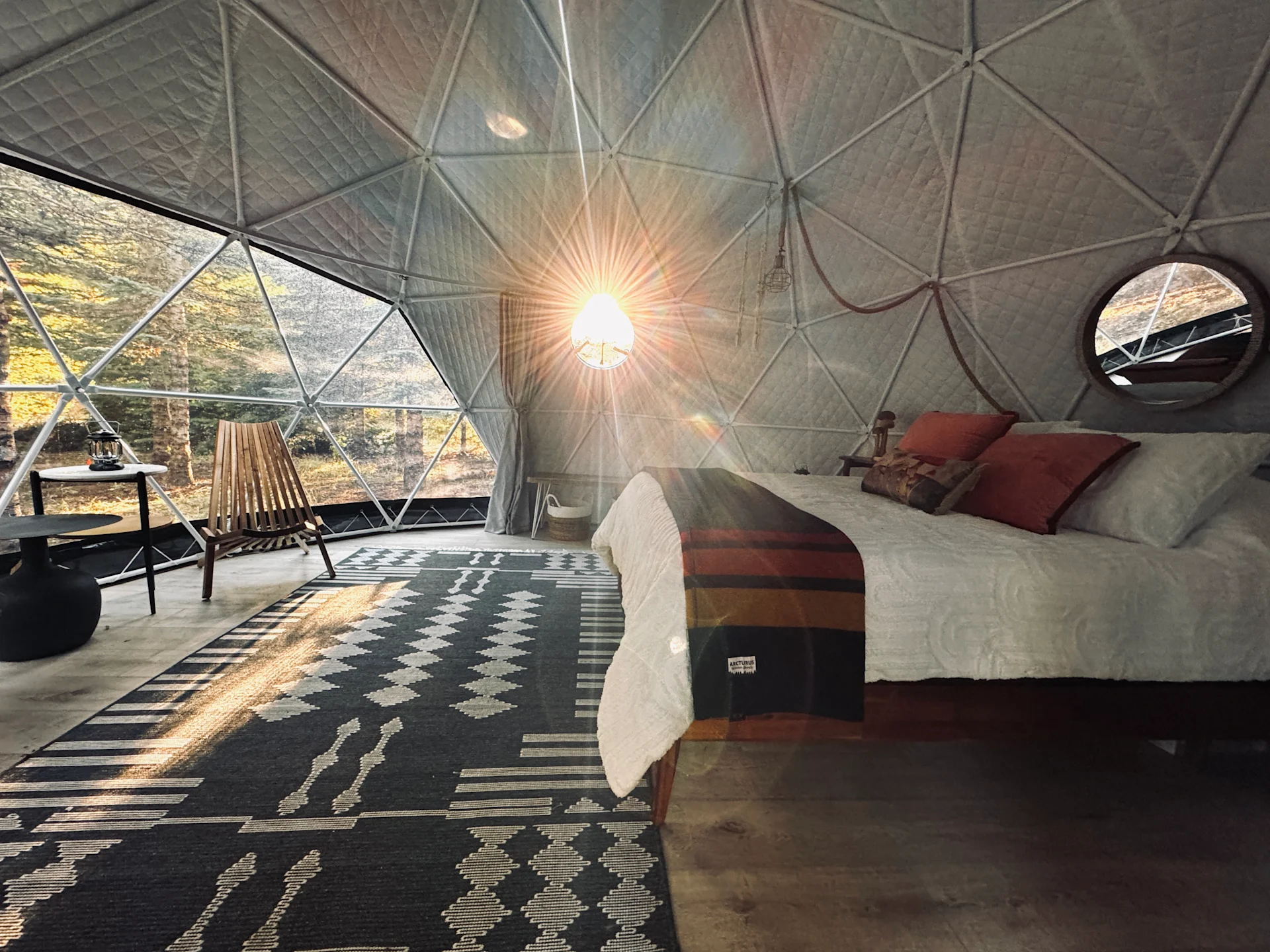 Mushroom Forager Dome